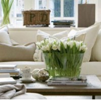 Medical room for rent Beautiful Counselling Room Hobart Tasmania Australia