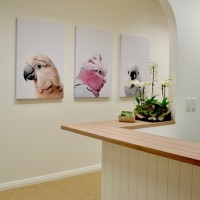 Medical room for rent Premium Consulting Rooms At Brisbane Wellbeing Clinic - Brisbane Cbd Opposite Queens Plaza Brisbane City Queensland Australia
