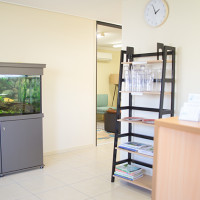 Medical room for rent Therapy Room / Allied Health Consulting Space For Rent Brisbane Woolloongabba Queensland Australia