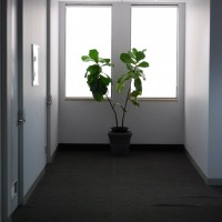 Medical room for rent Practitioner Rooms For Rent - Melbourne Cbd Melbourne Victoria Australia
